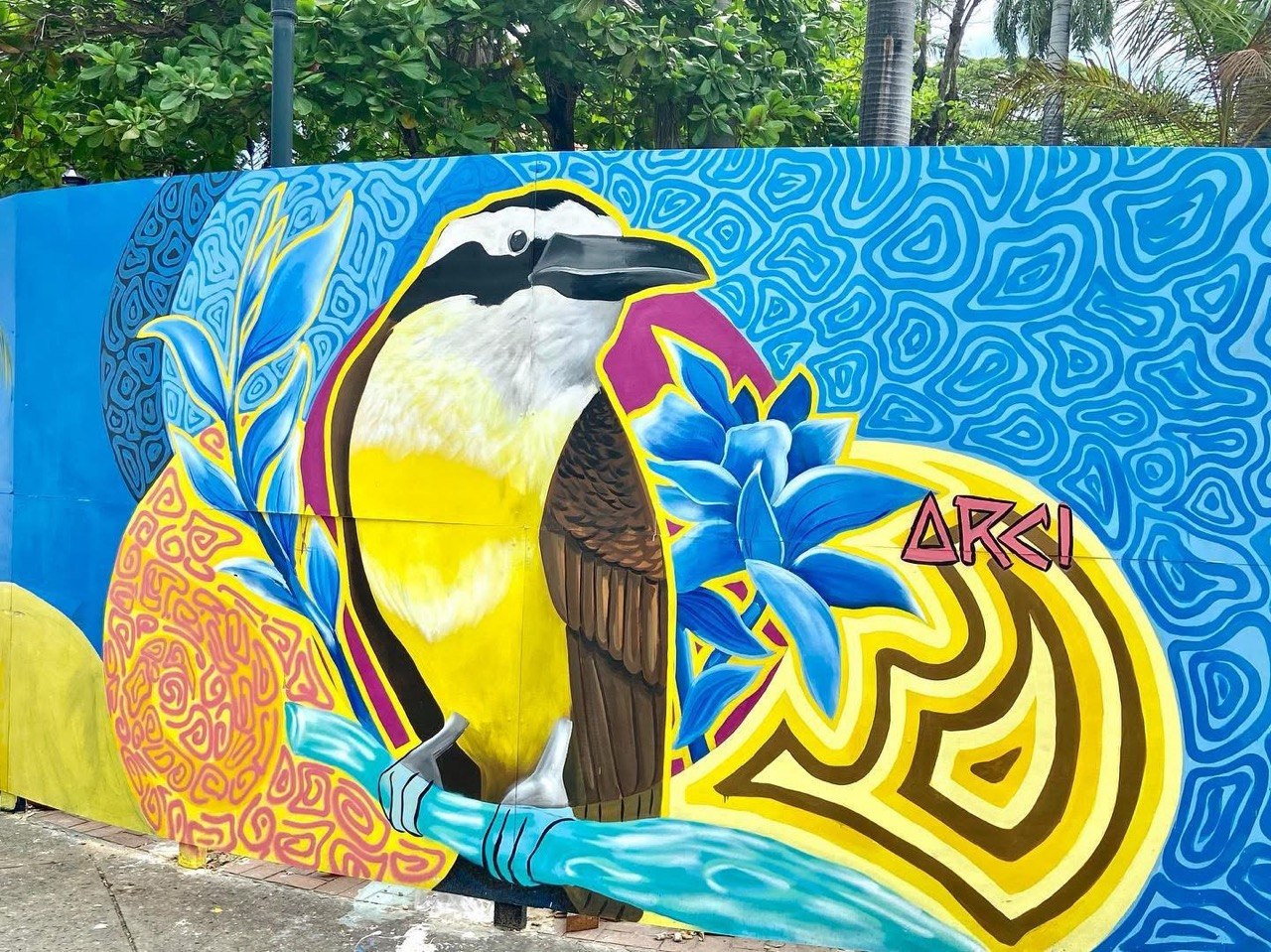 Murales y arte urbano en las calles de Getsemaní Cartagena
